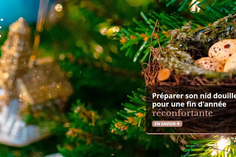 Offres de noel 2020 Navoti